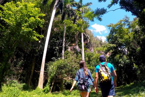 Storia e Natura: Esplora la Sierra Cubana con Apodaca12